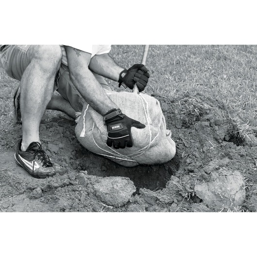 Photo of IRWIN gloves SKU 432005 worn during planting, handling a burlap-wrapped root ball in a dirt hole.